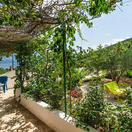 Dom wakacyjny Beautiful In With House Sea View Novo Selo (Brac)